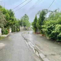 زمین-جنگلی-قواره-یک-جنگل-آسفالت-اطرافش-ساخته