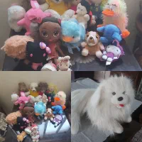 عروسک|اسباب‌بازی بچه|اندیشه, اندیشه فاز ۱|دیوار