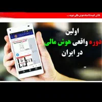 زمین دلار، زنانه مردانه، اقتصاد ۴۰۵ با گوشی همراه