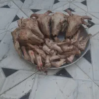 کله پاچه بره ۵۰۰ هزار تومان|خوردنی و آشامیدنی|خرمشهر, |دیوار