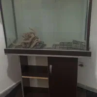 اکواریوم