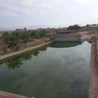 باغ کشاورزی نخلستان