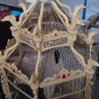 قفس پرنده