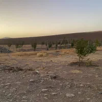 2قطعه زمین خونه باغ در کوسه|فروش زمین و ملک کلنگی|بوکان, |دیوار