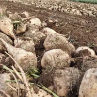 سرکارگر کشاورزی از صفر تا صد