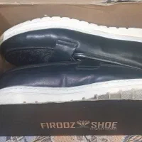 کفش مجلسی|کیف، کفش، کمربند|میناب, |دیوار