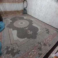 مبل|مبلمان خانگی و میز عسلی|قروه, |دیوار
