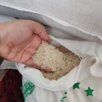 برنج هاشمی آستانه فجر|خوردنی و آشامیدنی|تهران, جیحون|دیوار