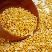 لپه ریز درجه یک تمیز 254لپه سایز متوسط مجلسی218