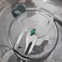 سبزی خوردکن|خردکن، آسیاب، غذاساز|تربتحیدریه, بوستان باغ ملی|دیوار