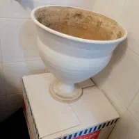 گلدان|گل و گیاه طبیعی|یزد, |دیوار