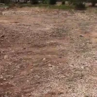 زمین سپیدار مرکزی|فروش زمین و ملک کلنگی|سپیدار, |دیوار