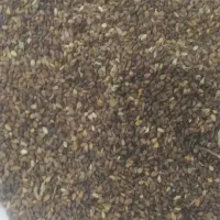 کنجد|خوردنی و آشامیدنی|سبزوار, فیاض|دیوار