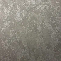 اجرای تخصصی میکروسمنت و پتینه|خدمات پیشه و مهارت|رشت, امین الضرب|دیوار