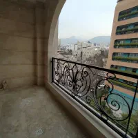 ۱۶۰متر/ویو ابدی/تکواحدی/دوپارکینگ/شیخ‌بهایی شمالی|اجارهٔ آپارتمان|تهران, ونک|دیوار