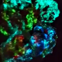 سنگ اوپالین گوهر شفق20رنگ زیبا|جواهرات|اهواز, فرهنگ شهر|دیوار