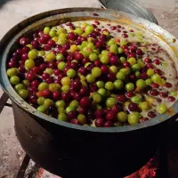 لواشک آلو شابلون و آبغوره طبیعی طالقان|خوردنی و آشامیدنی|کرج, شاهین‌ویلا|دیوار