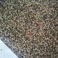 گاودانه تمیز