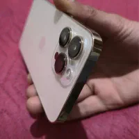 آیفون 13پرو با رنگ گلد