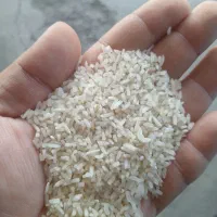 سرلاشه برنج پاکستانی