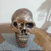 مجسه‌
