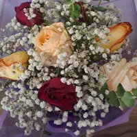 کار آموز عکاسی،فیلمبرداری و آتلیه سیار