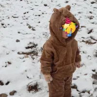 هودی اسپرت،