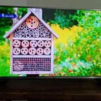 آل ای دی ال جی کم کار|تلویزیون و پروژکتور|آزادشهر, |دیوار