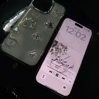 ایفون ۱۶ پرومکس ۲۵۶ دوسیم ریجستر شده|موبایل|فردیس, منظریه|دیوار