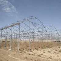 سازنده وفروشنده گلخانه|ماشین‌آلات صنعتی|شیراز, گلشن|دیوار