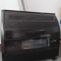 بخاری بزرگ آدنیس