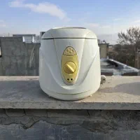 سرخ کن وآبمیوه گیری