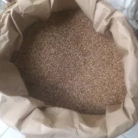 بذر شبدر پایه بلند برسیم|خدمات باغبانی و درختکاری|گرگان, |دیوار