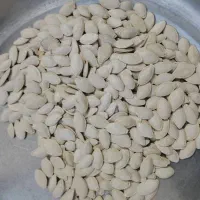 تخمه کدو گوشتی