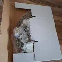 آینه و شمعدان