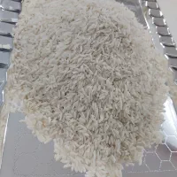 برنج طارم هاشمی (درجه یک گیلان)|خوردنی و آشامیدنی|ساری, |دیوار