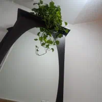 جاکفشی جنس خوب