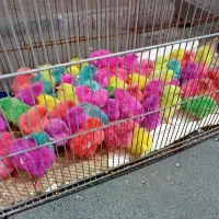 با سلام و عرض ادب