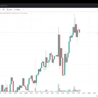 اتصال امن به متاتریدر، تریدینگ ویو، صرافی و بروکر