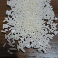 نیمدانه درشت خالص هاشمی