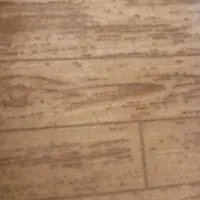 موکت