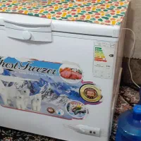 فریزر صندوقی|یخچال و فریزر|بندر ماهشهر, |دیوار