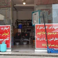 باتری ساز وارد