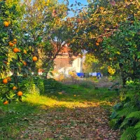 فروش زمین۲۹۷ متری مسکونی زیر قیمت