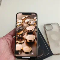 آیفون۱۲پرومگس