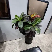 آپارتمان125متر/3خواب/تک واحدی(چمن)|فروش آپارتمان|مشهد, هفده شهریور|دیوار