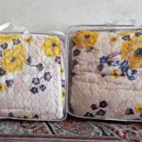 سگه|سگ|سیرجان, |دیوار