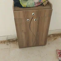 جا کفشی