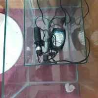 باریوم با لوازم|ماهی|ارومیه, |دیوار