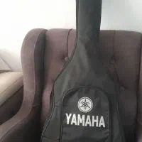 گیتار دالاهو|گیتار، بیس، امپلیفایر|قرچک, محمد آباد|دیوار